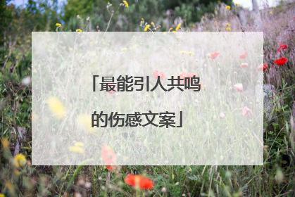 最能引人共鸣的伤感文案