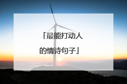 最能打动人的情诗句子