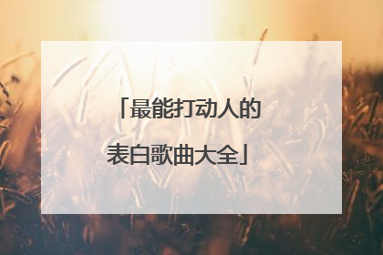 最能打动人的表白歌曲大全