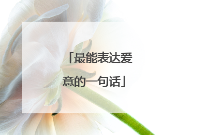 最能表达爱意的一句话