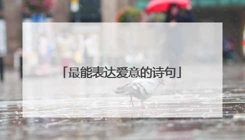 最能表达爱意的诗句