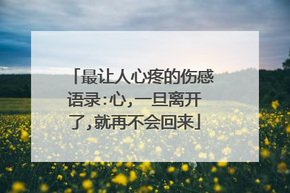 最让人心疼的伤感语录:心,一旦离开了,就再不会回来