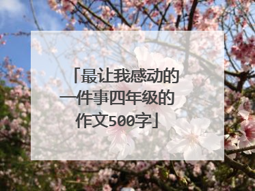 最让我感动的一件事四年级的作文500字