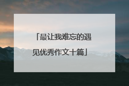 最让我难忘的遇见优秀作文十篇