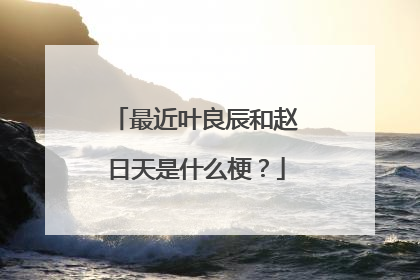 最近叶良辰和赵日天是什么梗?