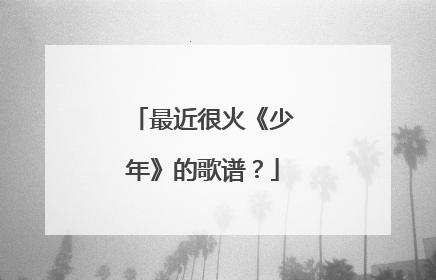 最近很火《少年》的歌谱?