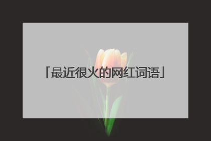 最近很火的网红词语