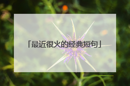 最近很火的经典短句