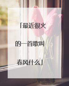 最近很火的一首歌叫春风什么