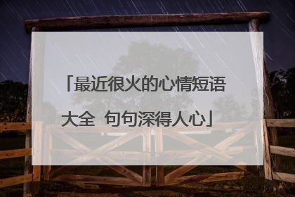 最近很火的心情短语大全 句句深得人心