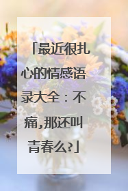 最近很扎心的情感语录大全:不痛,那还叫青春么?