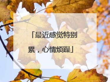 最近感觉特别累,心情烦躁