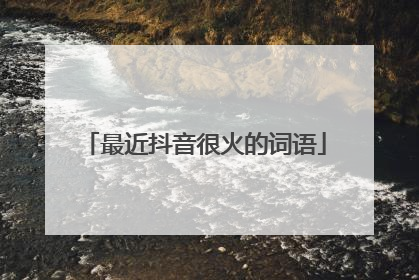 最近抖音很火的词语