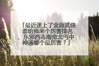 最近迷上了金庸武侠 谁给我来个厉害排名、东邪西毒南帝北丐中神通哪个最厉害?