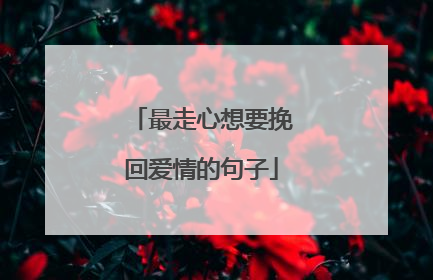 最走心想要挽回爱情的句子