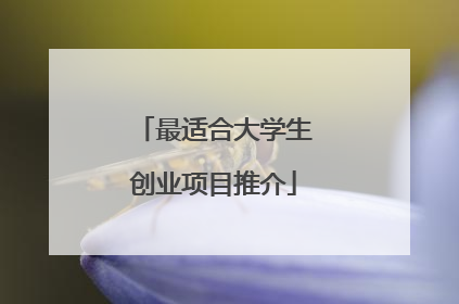 最适合大学生创业项目推介