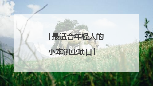 最适合年轻人的小本创业项目