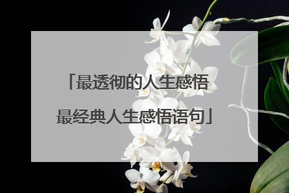 最透彻的人生感悟 最经典人生感悟语句