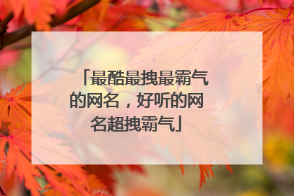 最酷最拽最霸气的网名,好听的网名超拽霸气