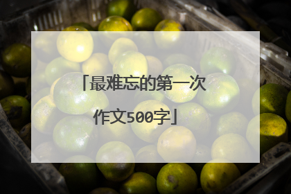 最难忘的第一次作文500字
