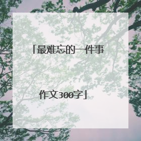 最难忘的一件事作文300字
