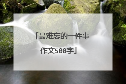 最难忘的一件事作文500字