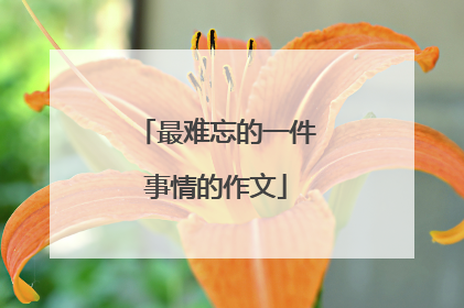 最难忘的一件事情的作文