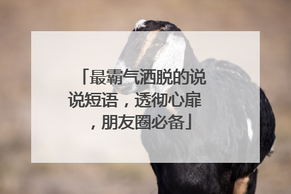 最霸气洒脱的说说短语，透彻心扉，朋友圈必备