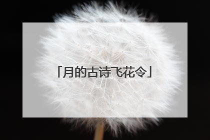 月的古诗飞花令