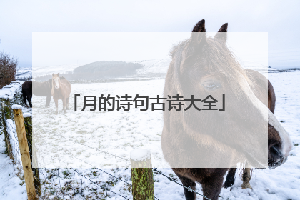 月的诗句古诗大全