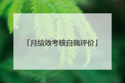 月绩效考核自我评价