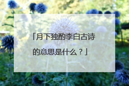月下独酌李白古诗的意思是什么?