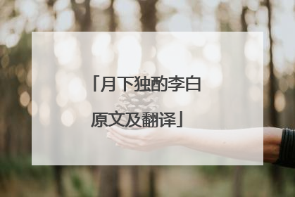 月下独酌李白原文及翻译