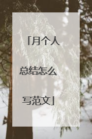 月个人总结怎么写范文