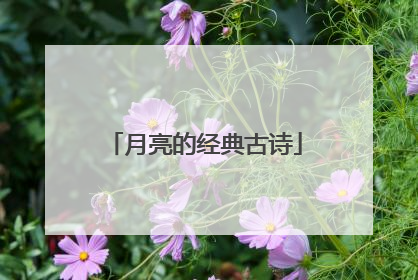 月亮的经典古诗