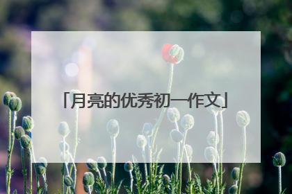 月亮的优秀初一作文