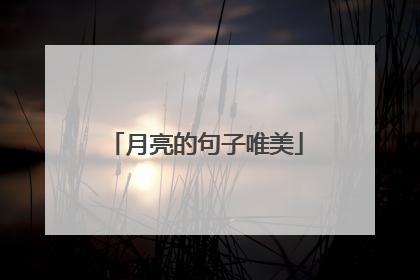 月亮的句子唯美