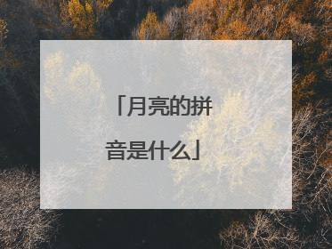月亮的拼音是什么