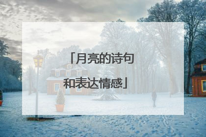 月亮的诗句和表达情感