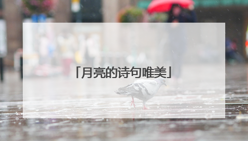 月亮的诗句唯美