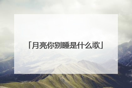 月亮你别睡是什么歌