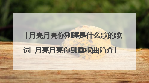 月亮月亮你别睡是什么歌的歌词 月亮月亮你别睡歌曲简介