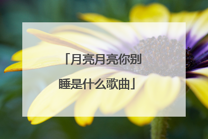 月亮月亮你别睡是什么歌曲