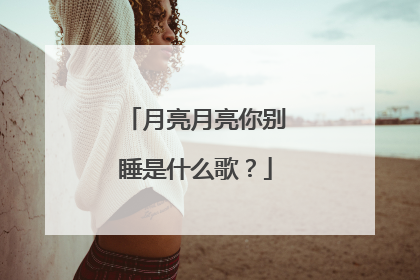 月亮月亮你别睡是什么歌?