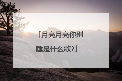 月亮月亮你别睡是什么歌?
