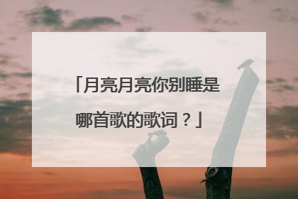 月亮月亮你别睡是哪首歌的歌词?