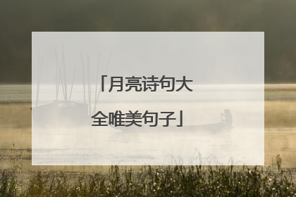 月亮诗句大全唯美句子