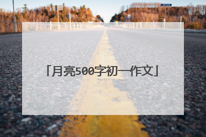 月亮500字初一作文