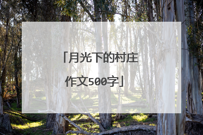 月光下的村庄作文500字