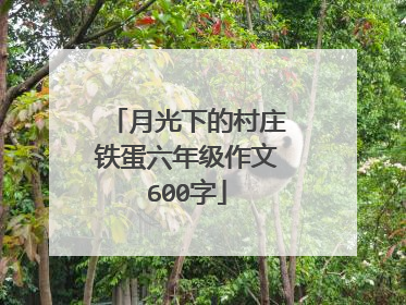 月光下的村庄铁蛋六年级作文600字